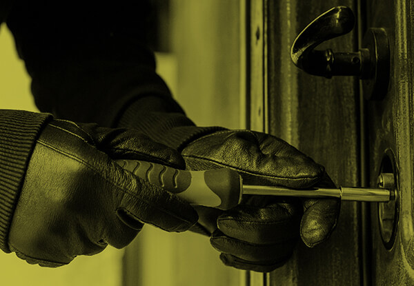Domestic Theft